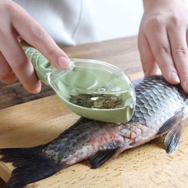Fish scale remover – Αφαίρεση κλίμακας ψαριού