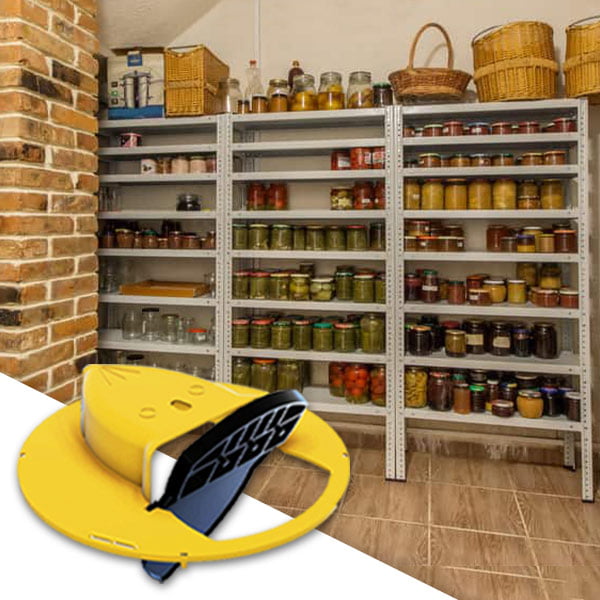 Μια παγίδα για ποντίκια και αρουραίους slider